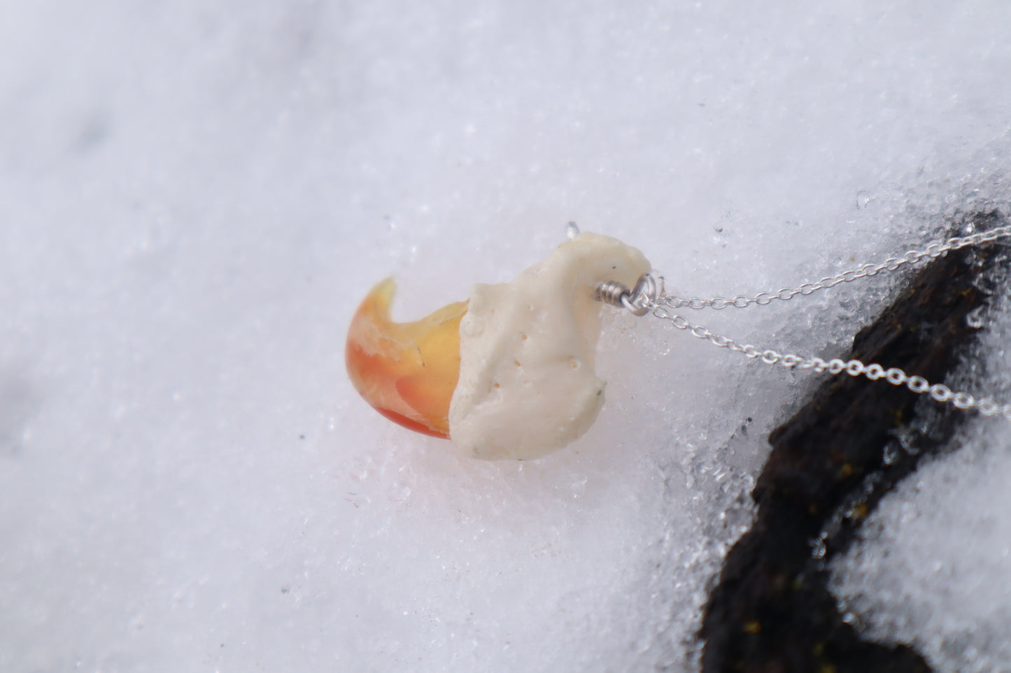 Mountain Lion Claw Necklace