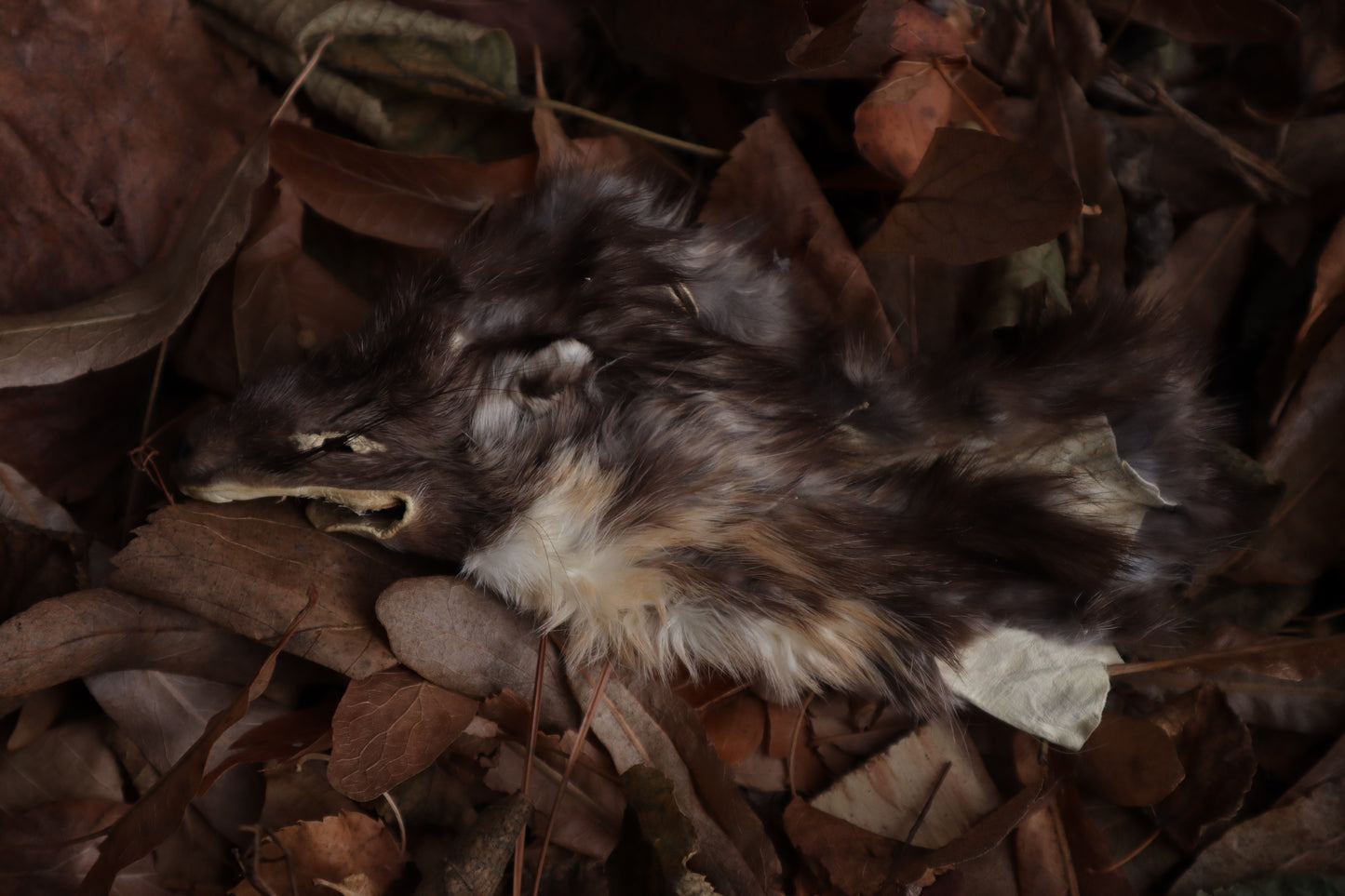 Reserved for Amber - Craft Pine Marten Face