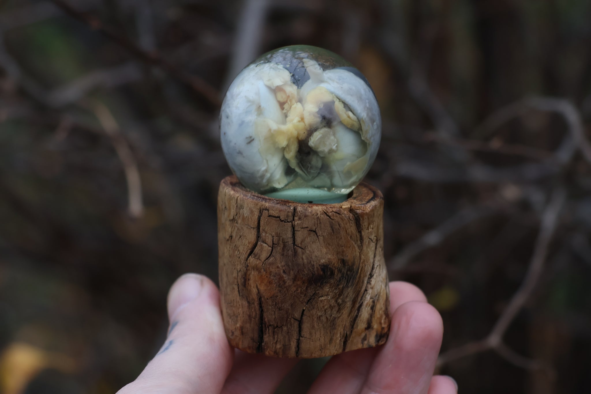 Bobcat Eyeball Crystal Ball