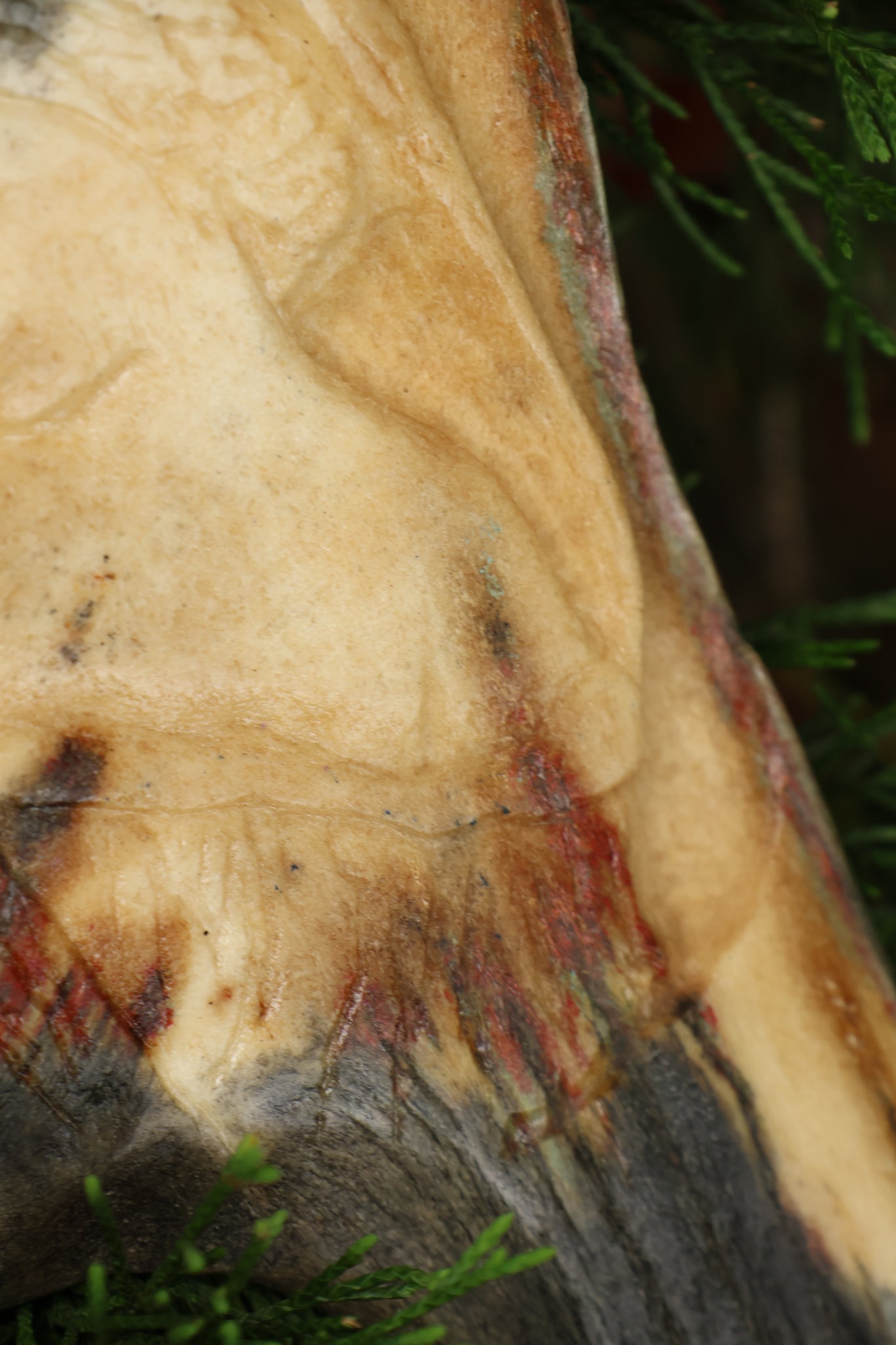 Sappho Moose Antler Carving