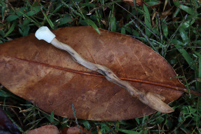 Black Walnut and Kitten Femur Offering Spoon