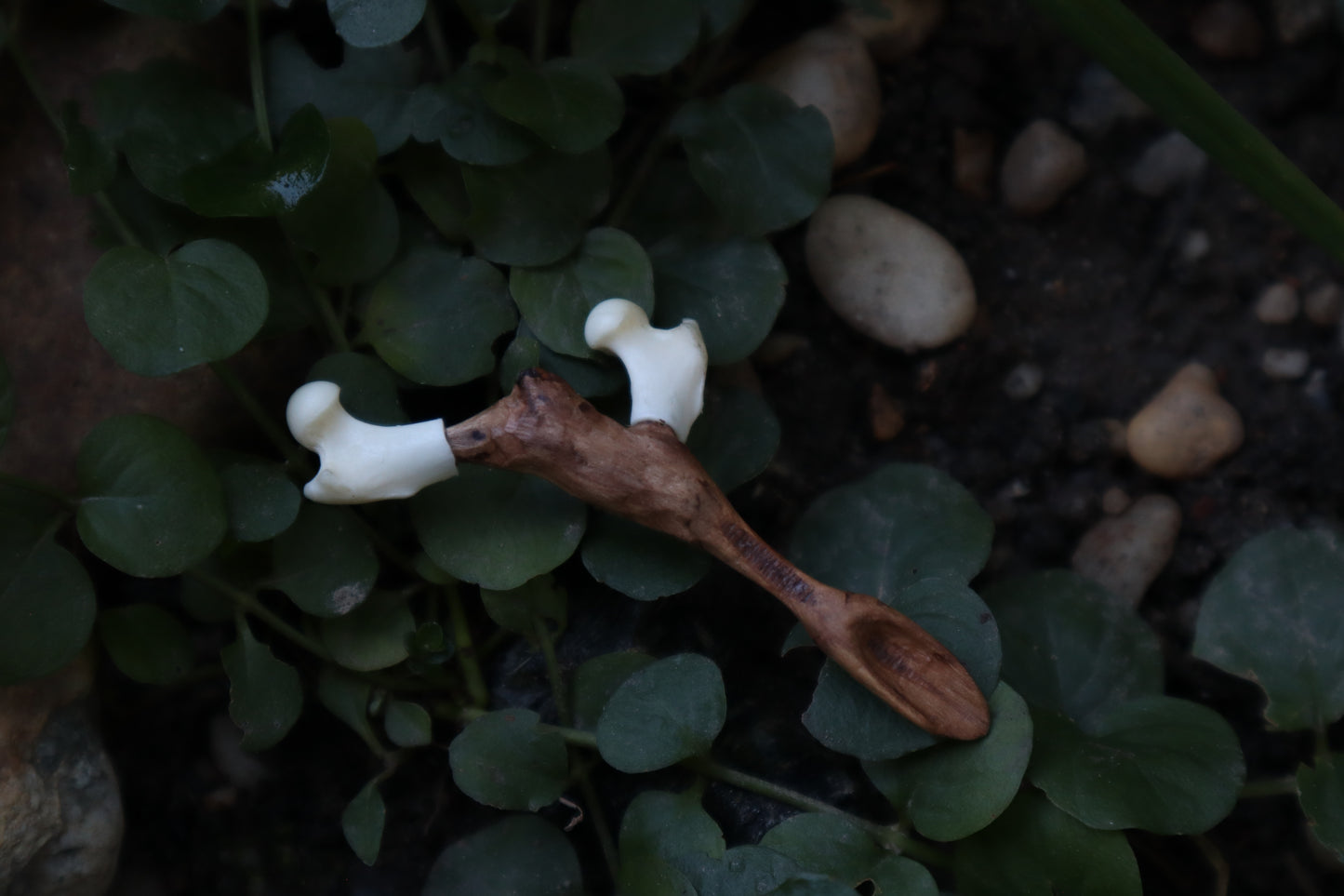 Black Walnut and Pine Marten Femur Offering Spoon