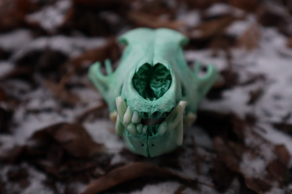 Reserved for Brandon - Blue Copper Coyote Skull