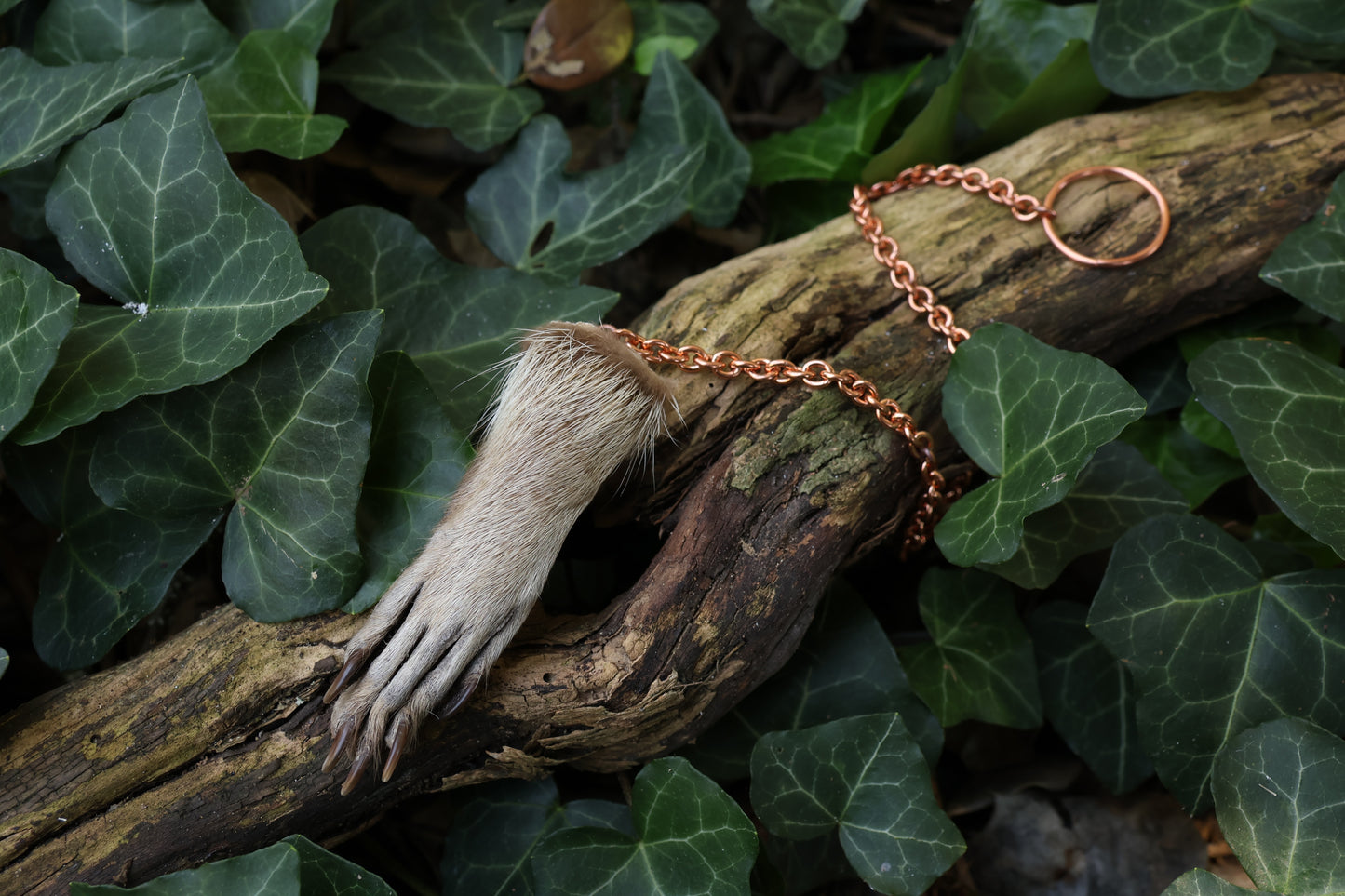 Reserved for Madison - Raccoon Paw Pendulum