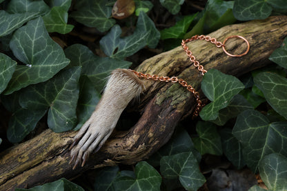 Reserved for Madison - Raccoon Paw Pendulum