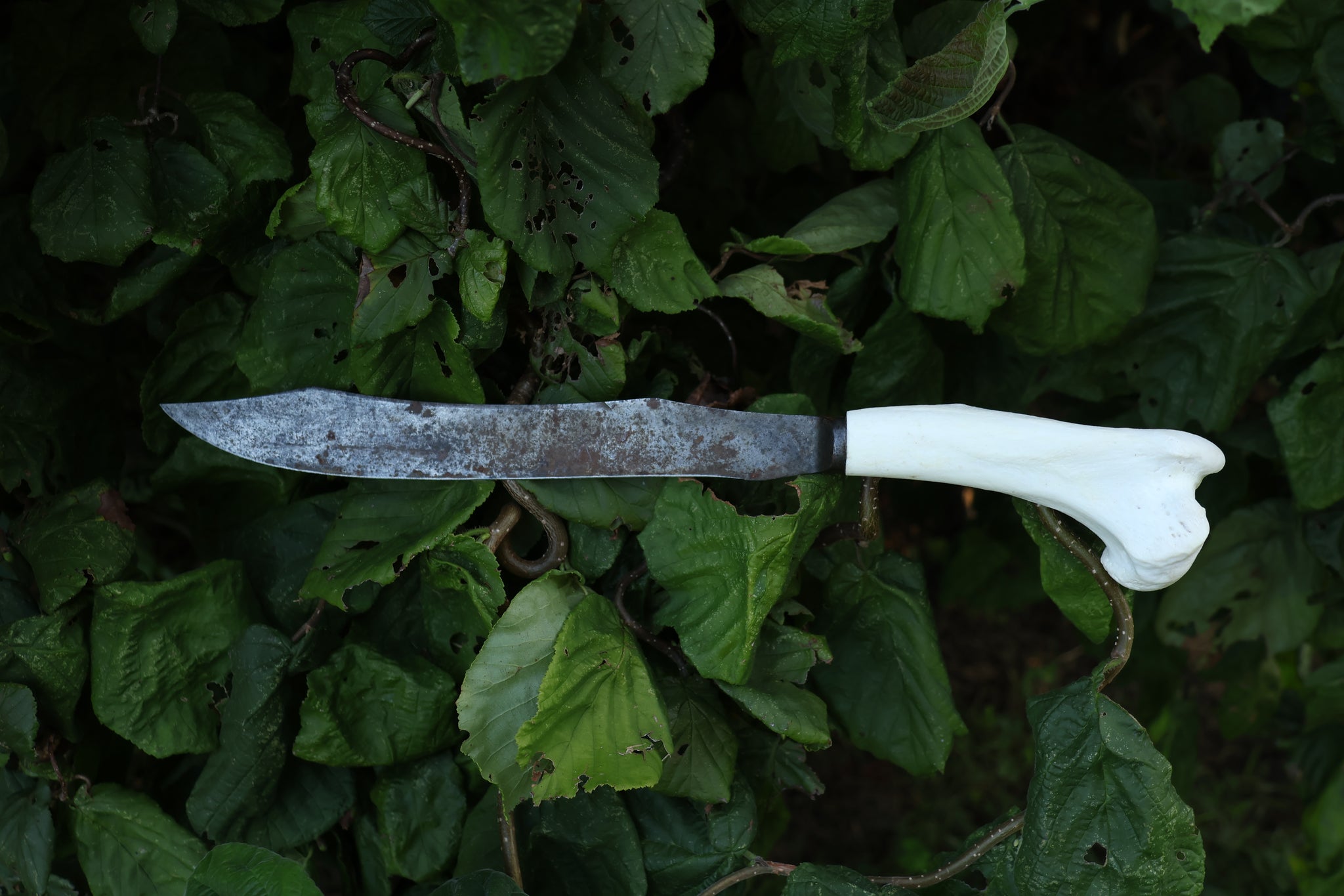 Wolf Bone Knife