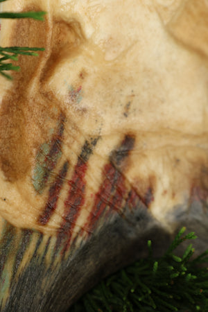 Sappho Moose Antler Carving