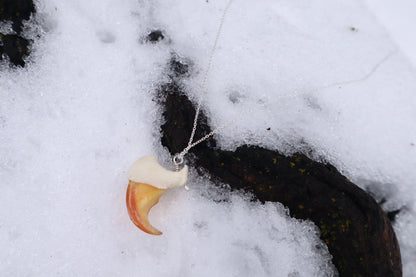 Mountain Lion Claw Necklace