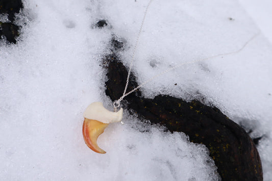 Mountain Lion Claw Necklace