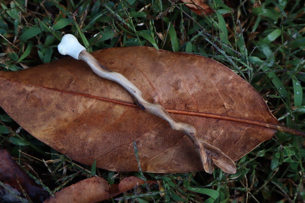 Black Walnut and Kitten Femur Offering Spoon