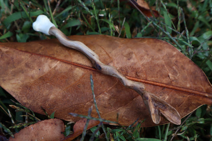 Black Walnut and Kitten Femur Offering Spoon