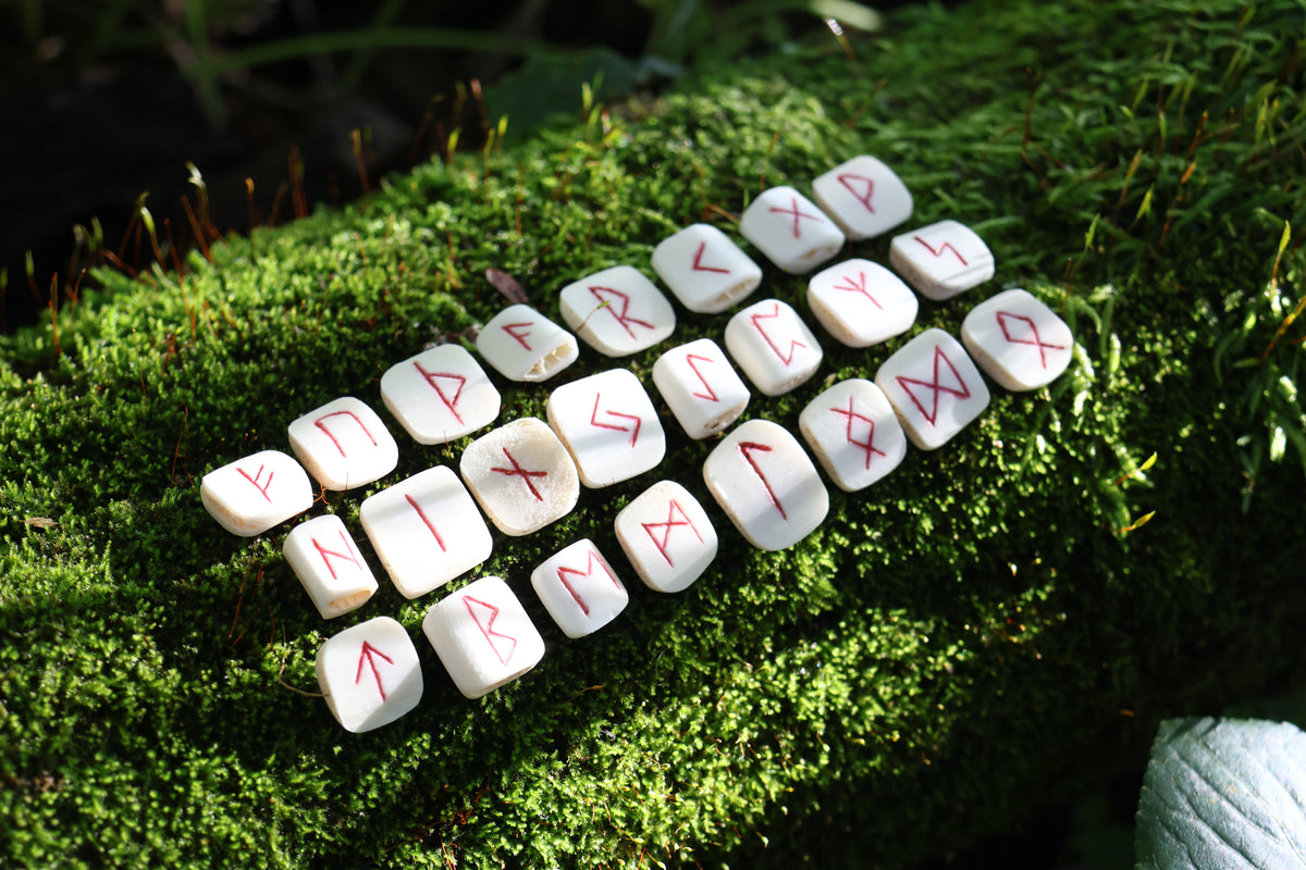 Deer Rib Elder Futhark Rune Set