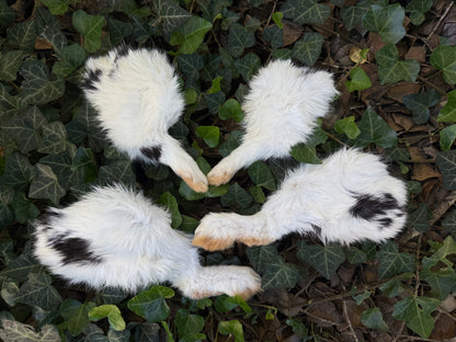 Reserved for Sam - Dry Preserved Rabbit Legs