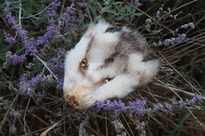 Craft Soft Tanned Opossum Face