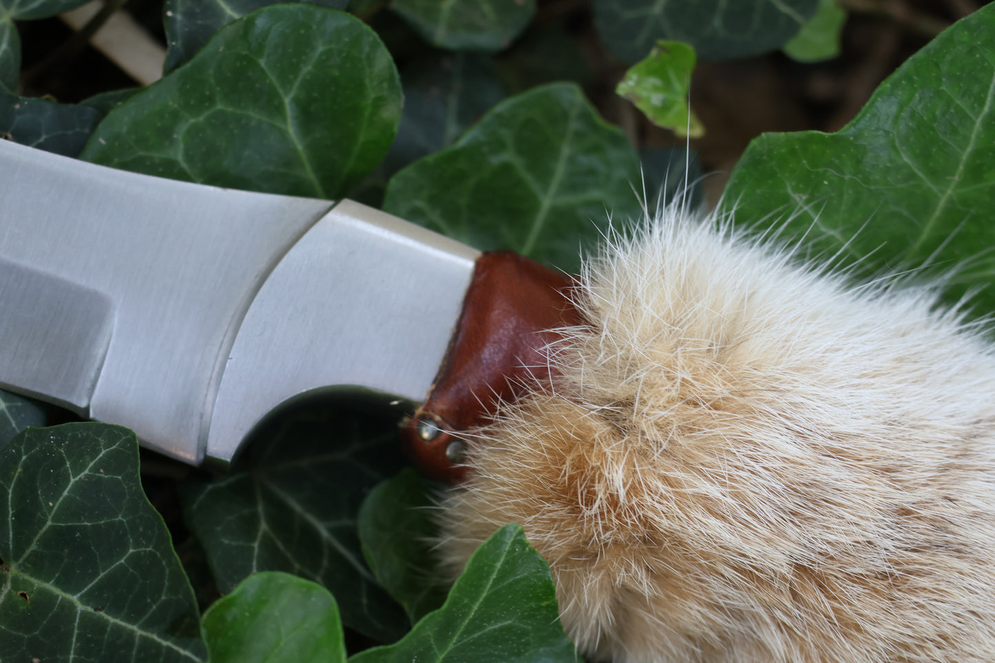 Bobcat Paw Knife