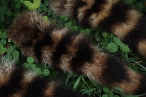 Raccoon Tail