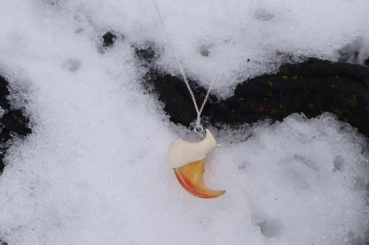 Mountain Lion Claw Necklace