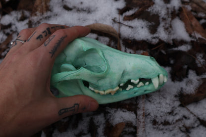 Reserved for Brandon - Blue Copper Coyote Skull