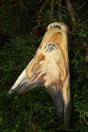 Sappho Moose Antler Carving