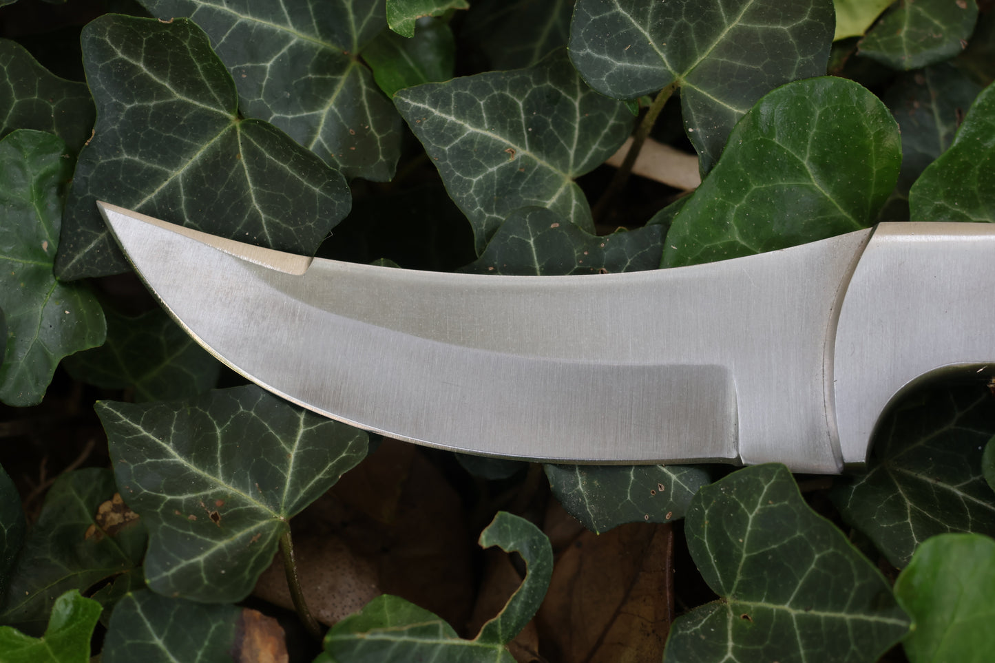 Bobcat Paw Knife