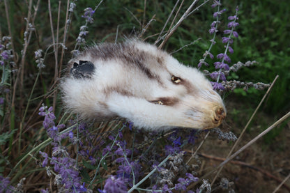 Craft Soft Tanned Opossum Face