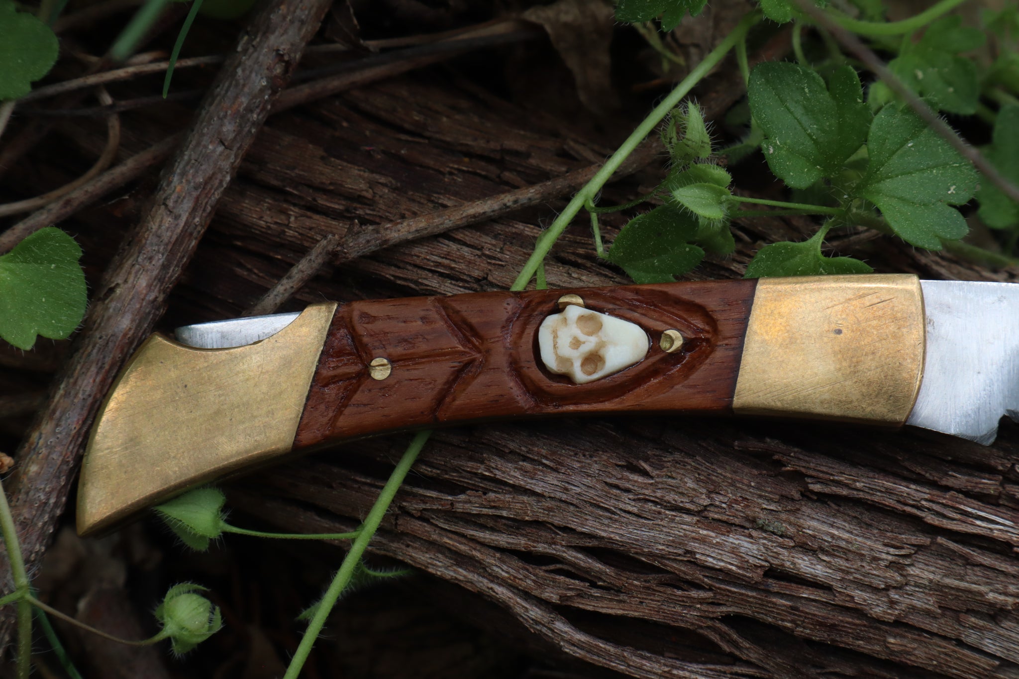 Chaos Monk Folding Knife