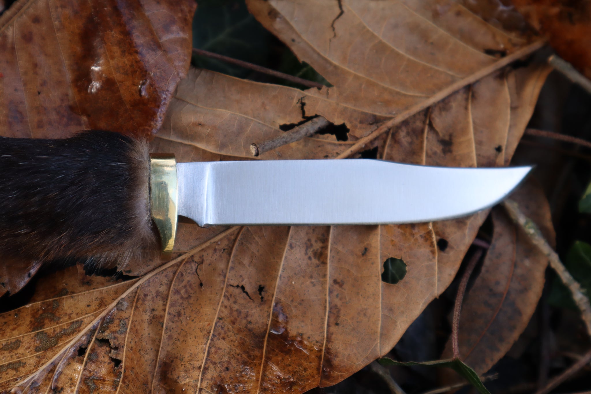 Reserved for Danielle - Red Fox Paw Knife