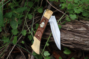 Chaos Monk Folding Knife