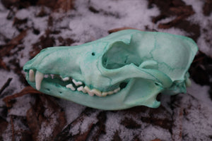 Reserved for Brandon - Blue Copper Coyote Skull