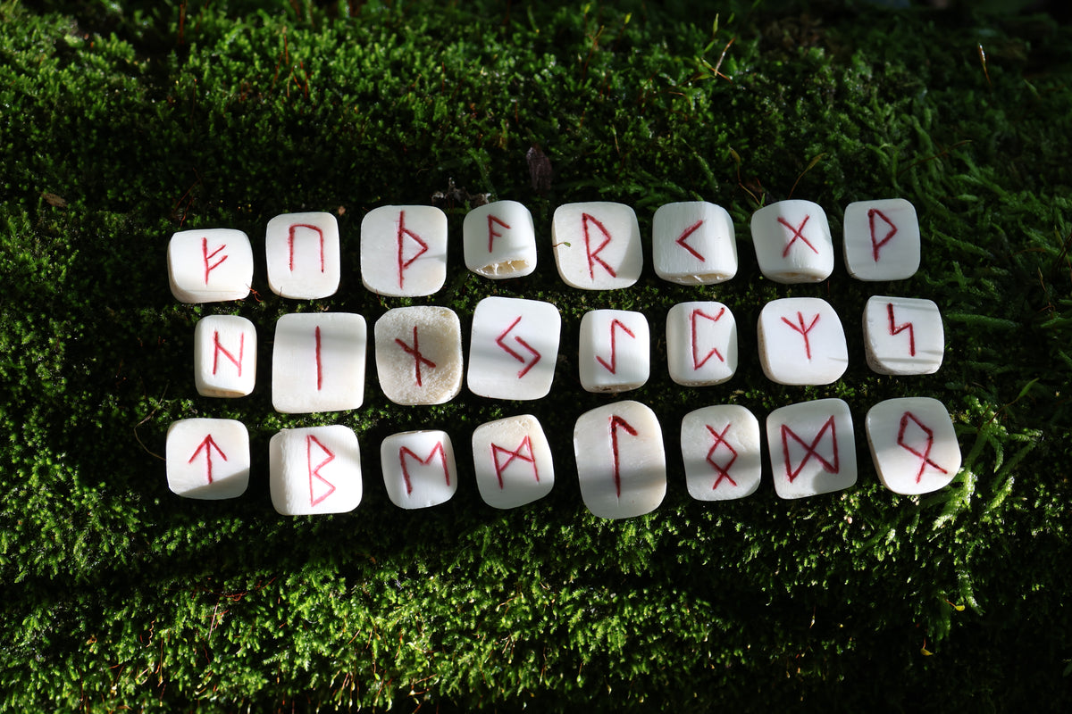 Deer Rib Elder Futhark Rune Set