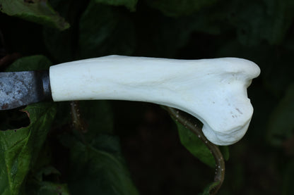 Wolf Bone Knife