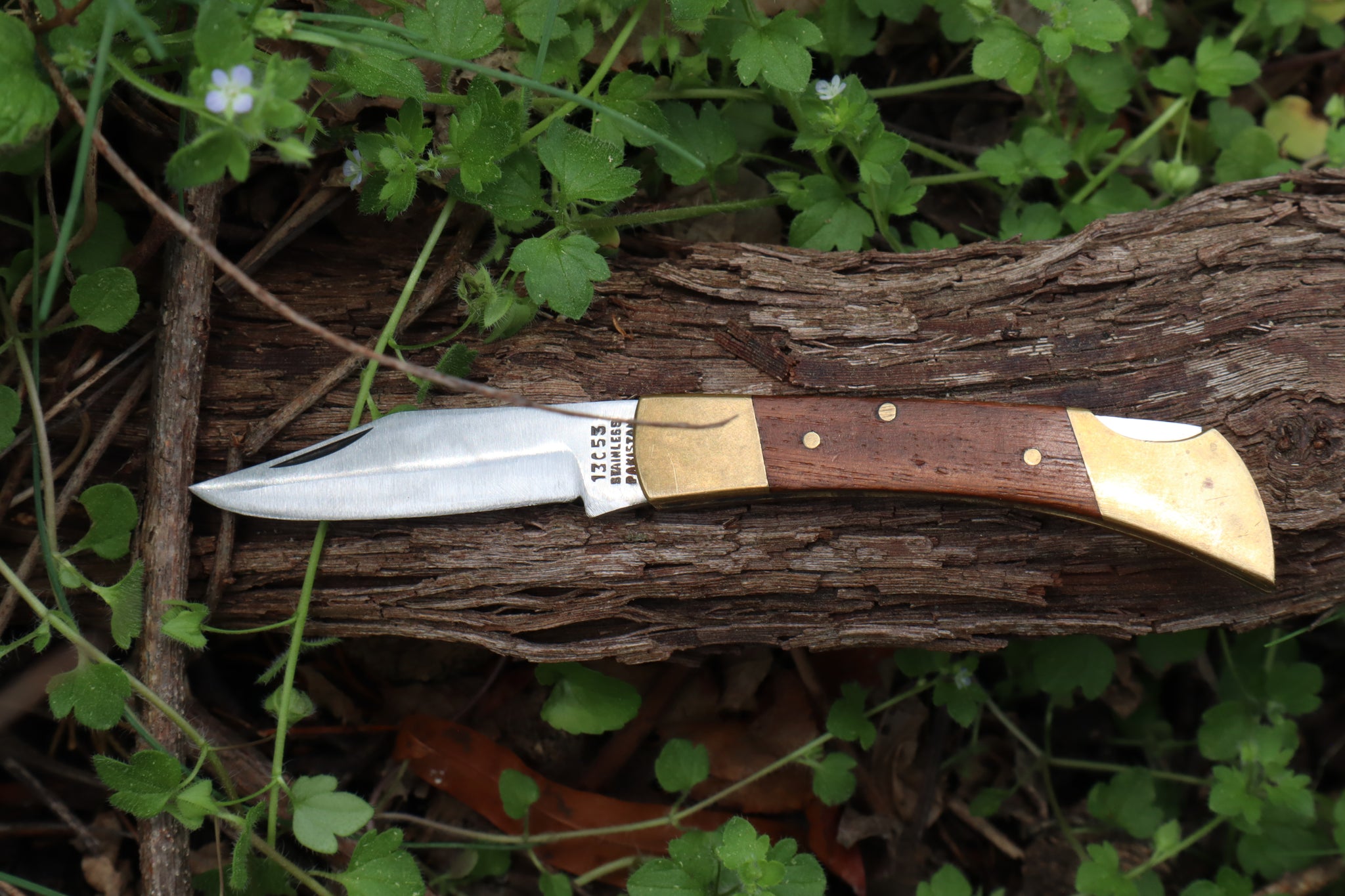 Chaos Monk Folding Knife