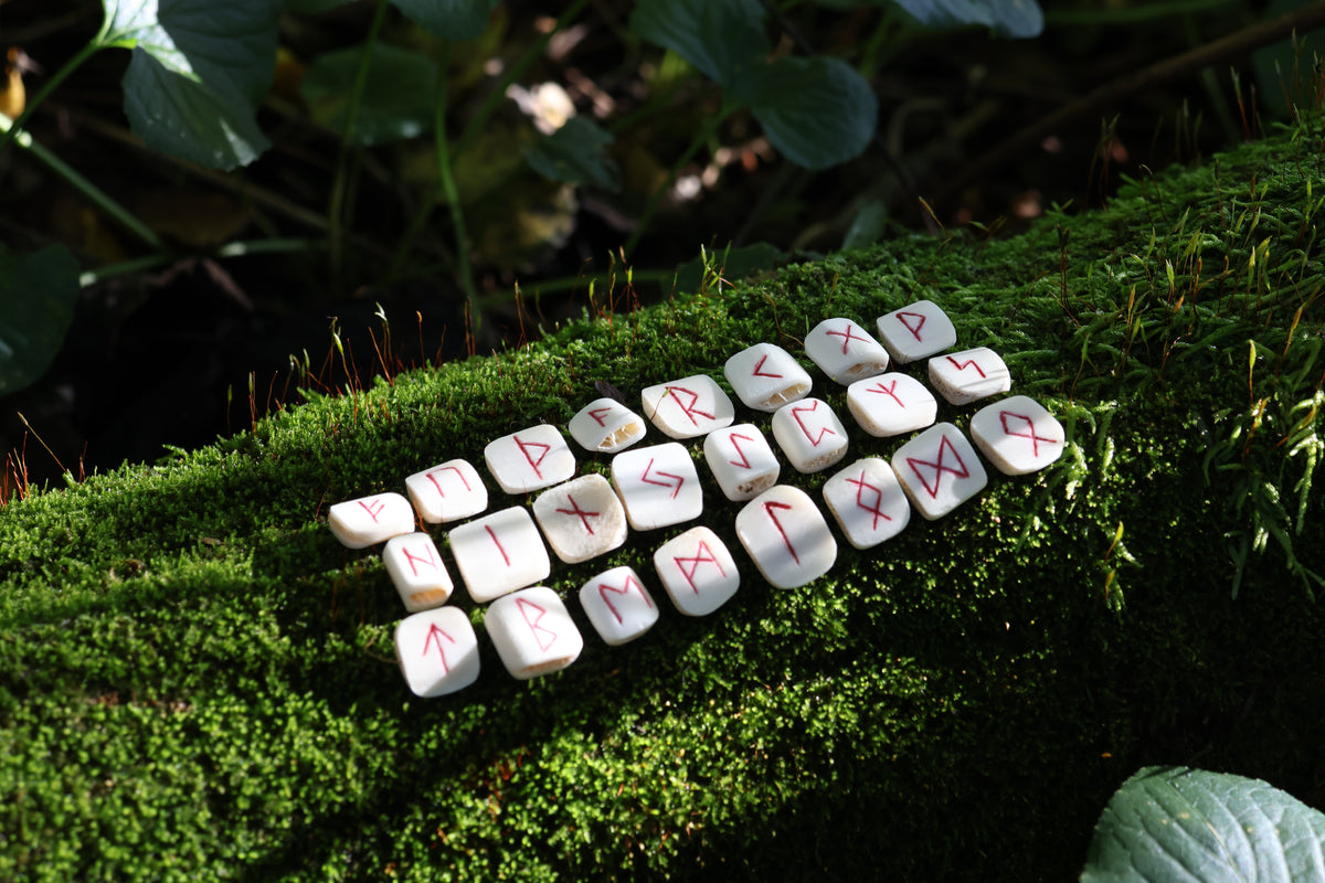 Deer Rib Elder Futhark Rune Set