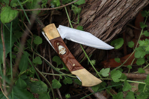 Chaos Monk Folding Knife