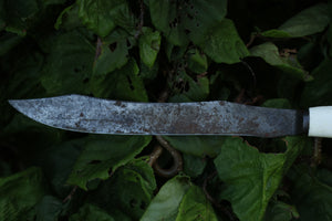 Wolf Bone Knife