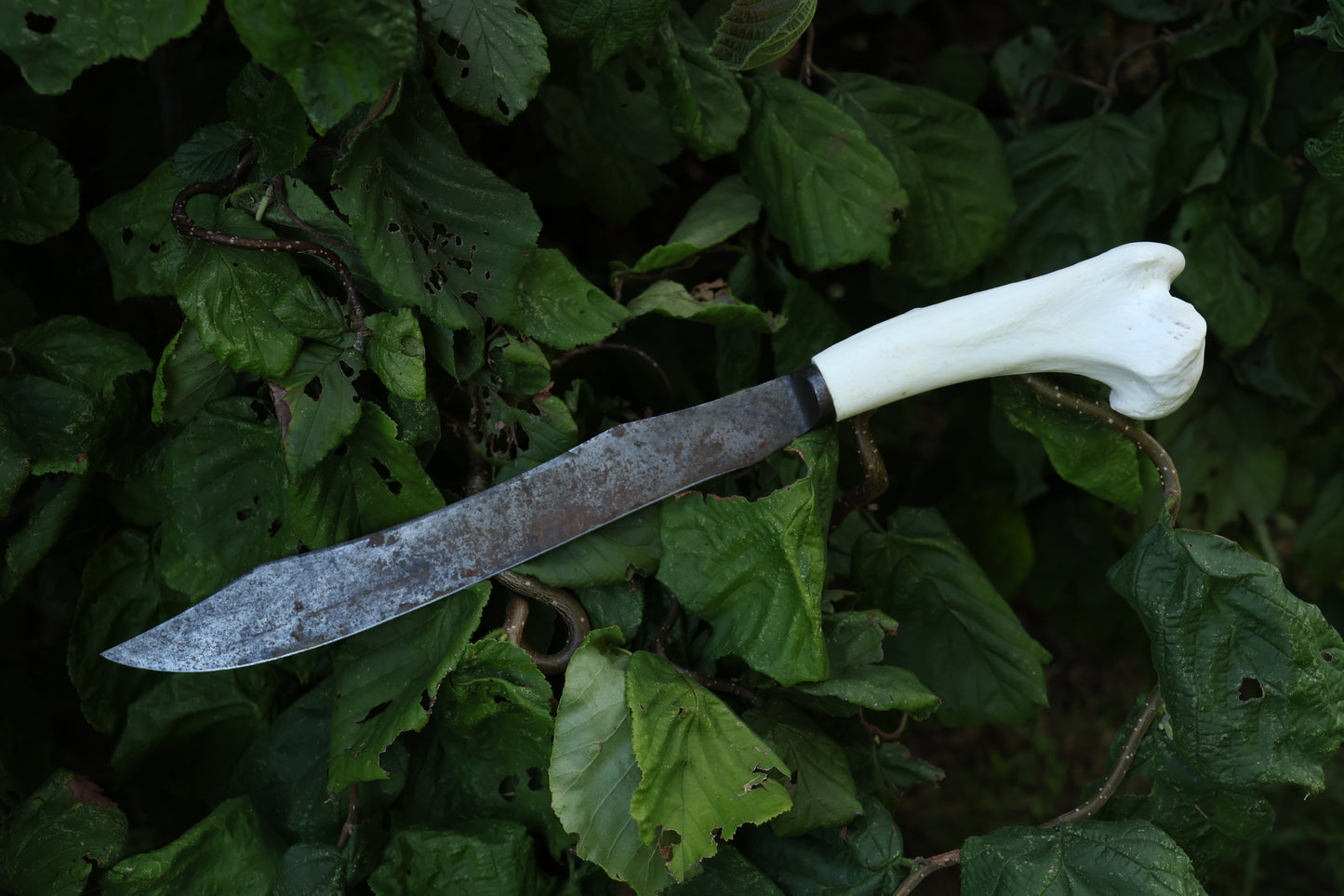 Wolf Bone Knife