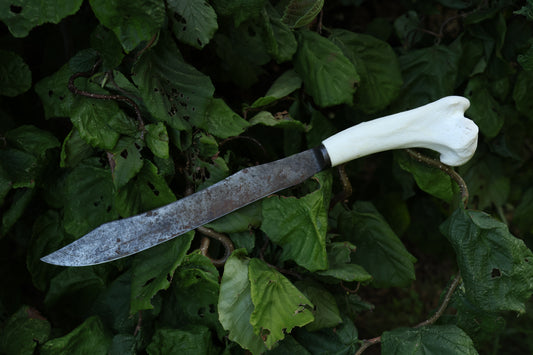 Wolf Bone Knife