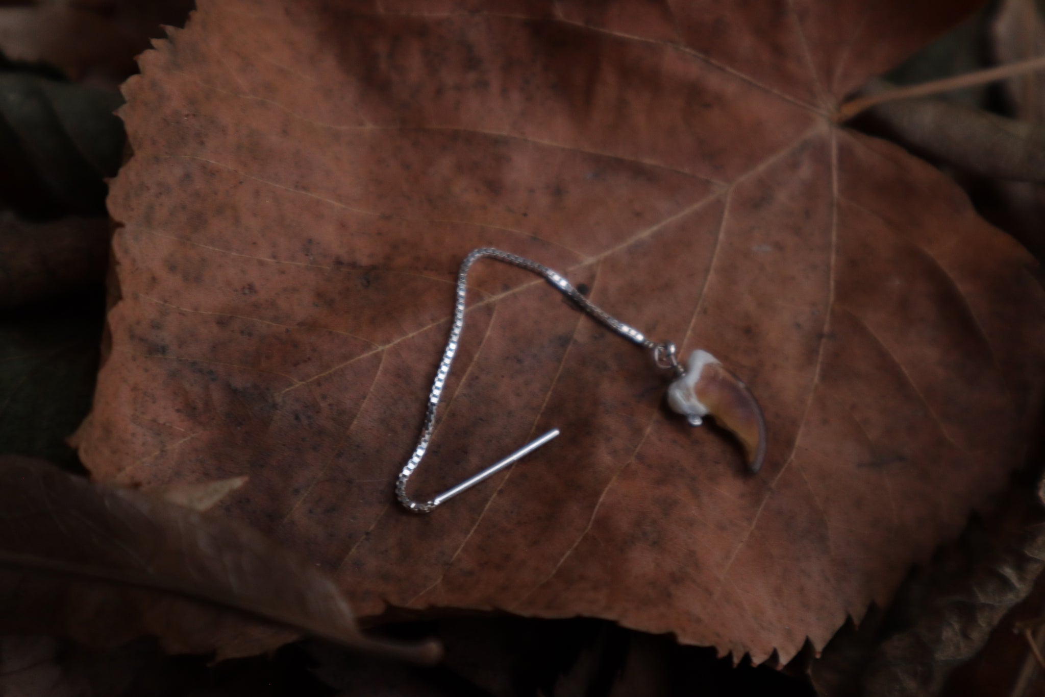 Raccoon Claw Earring Single - .925 Silver