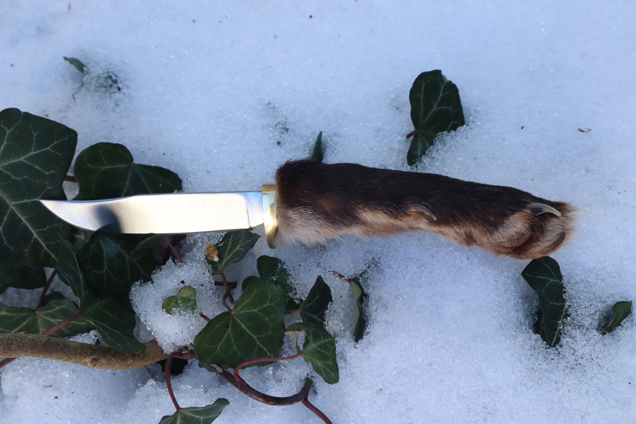 Red Fox Paw Knife