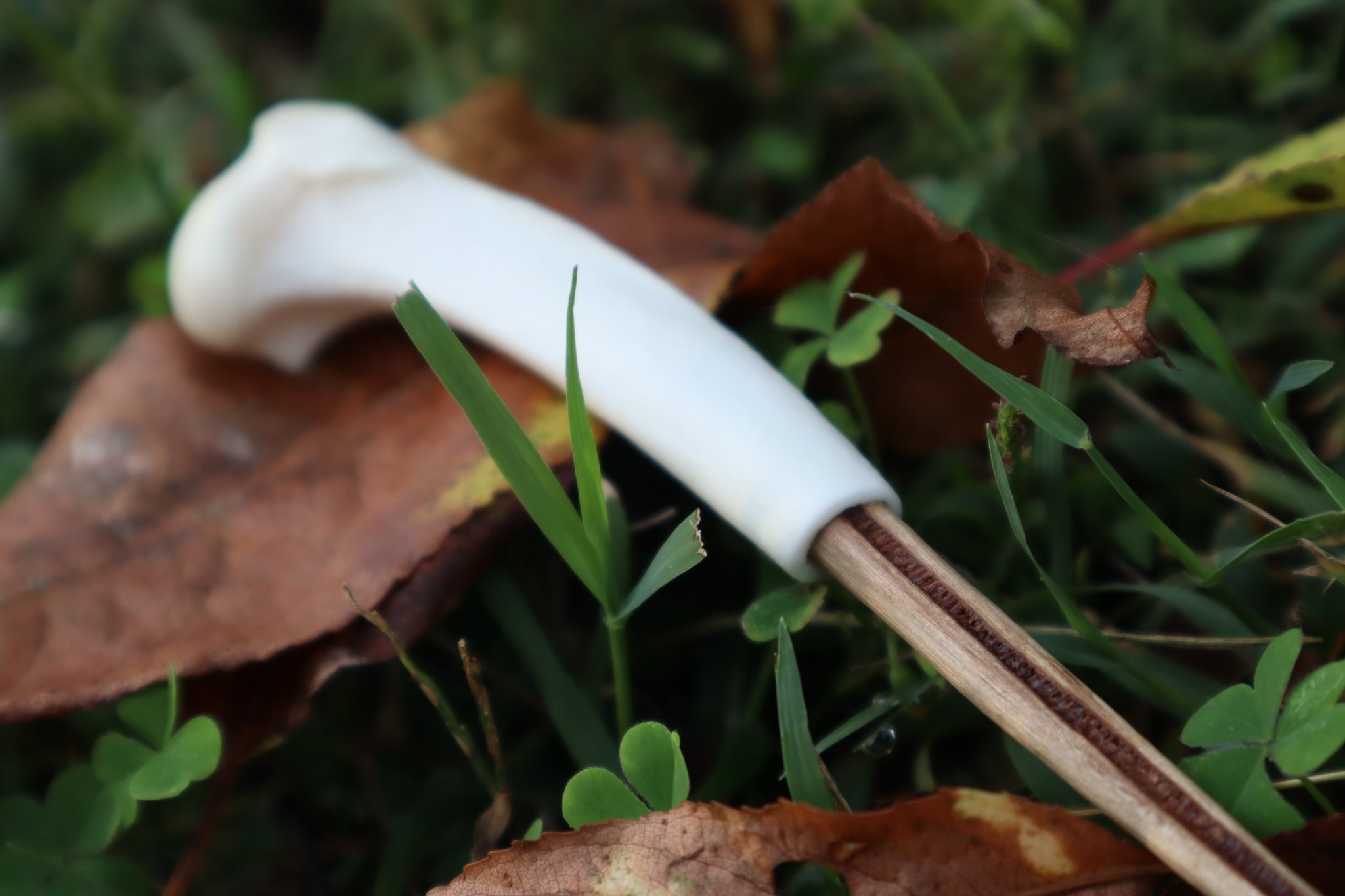 Black Walnut and Bobcat Humerus Offering Spoon