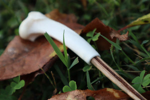 Black Walnut and Bobcat Humerus Offering Spoon