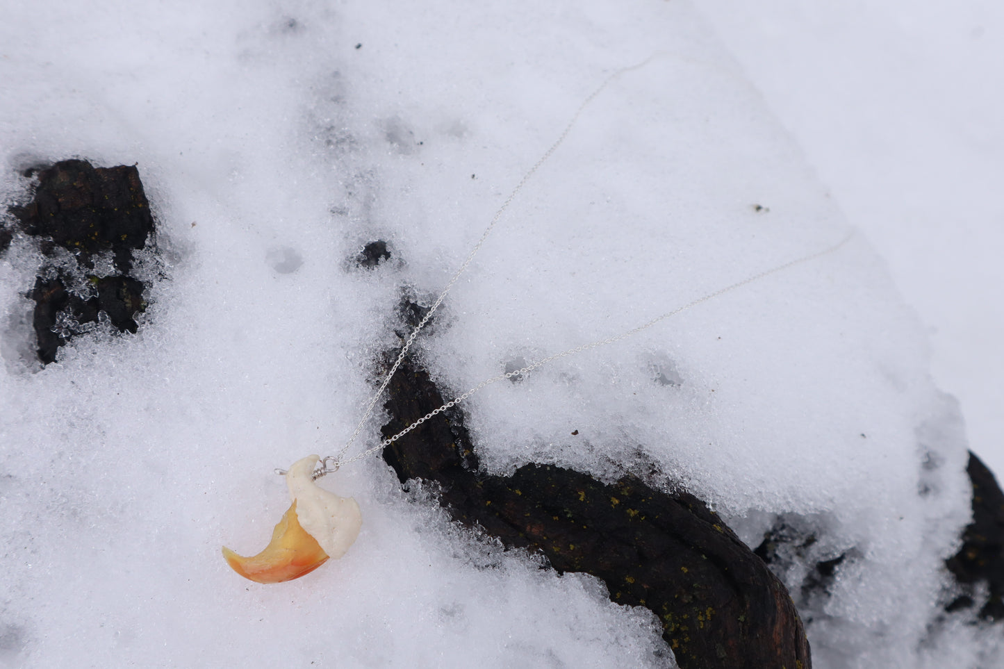 Mountain Lion Claw Necklace