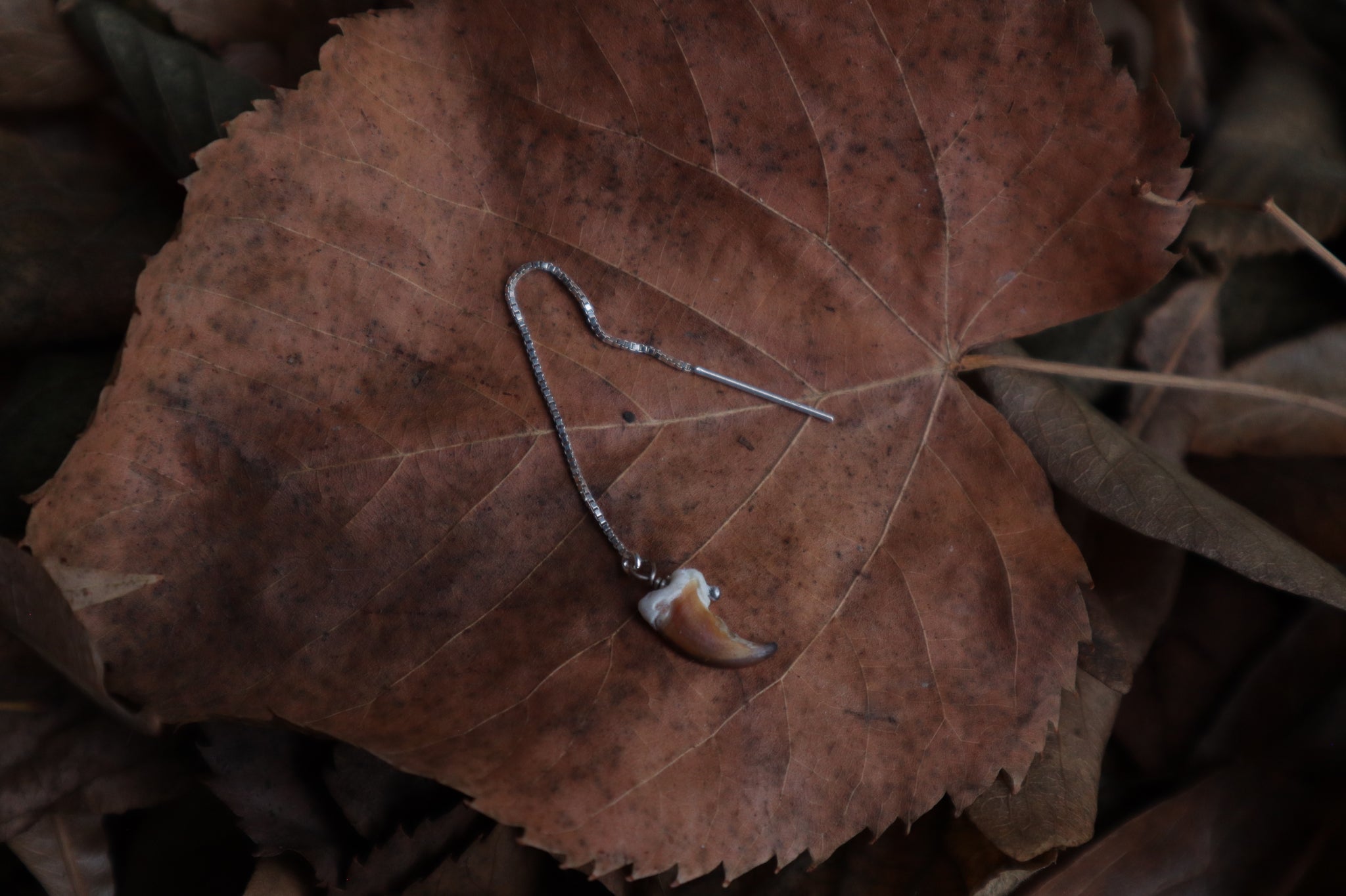 Raccoon Claw Earring Single - .925 Silver