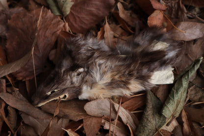 Reserved for Amber - Craft Pine Marten Face