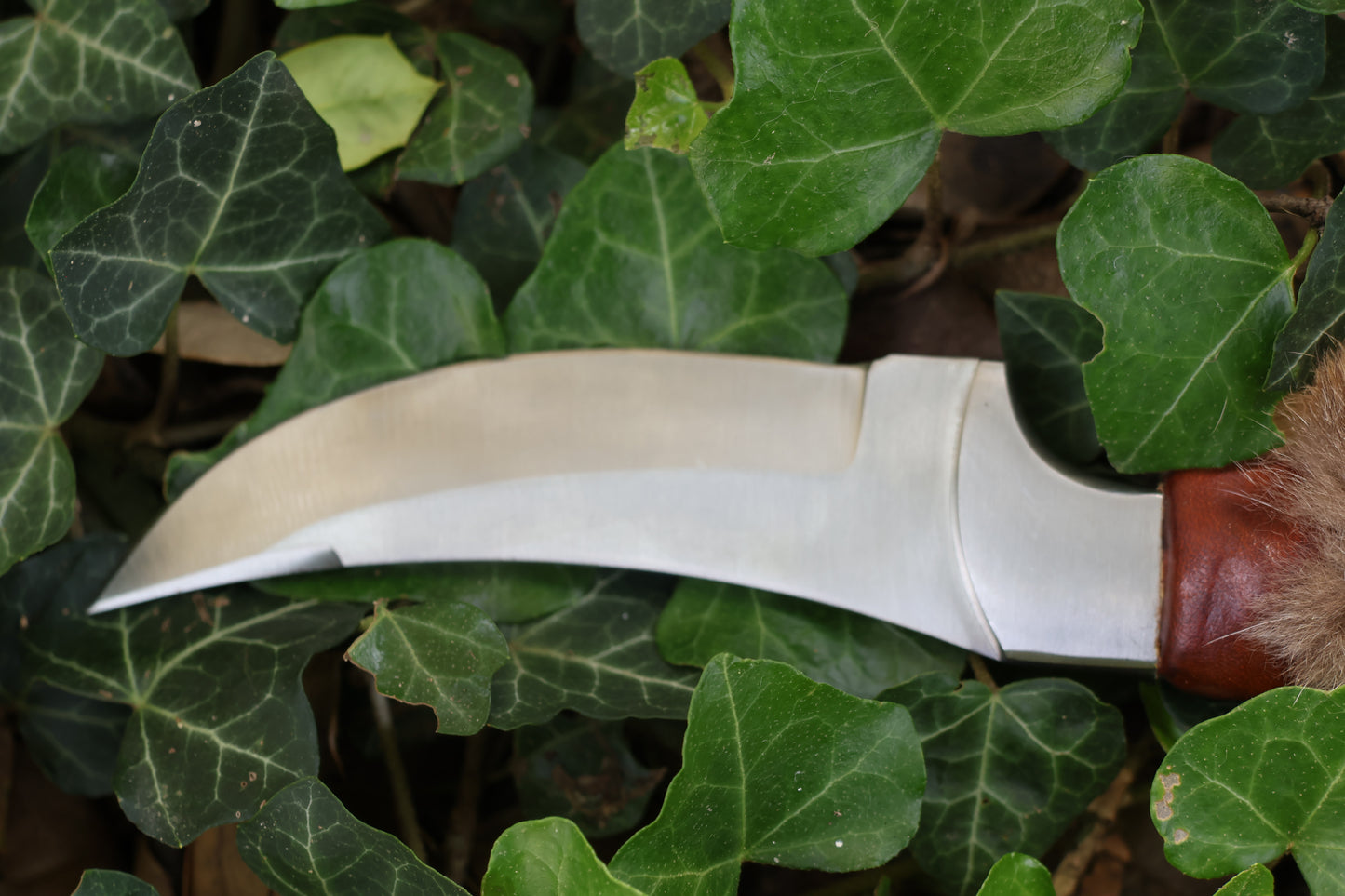 Bobcat Paw Knife