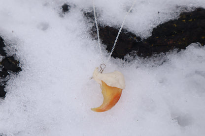 Mountain Lion Claw Necklace