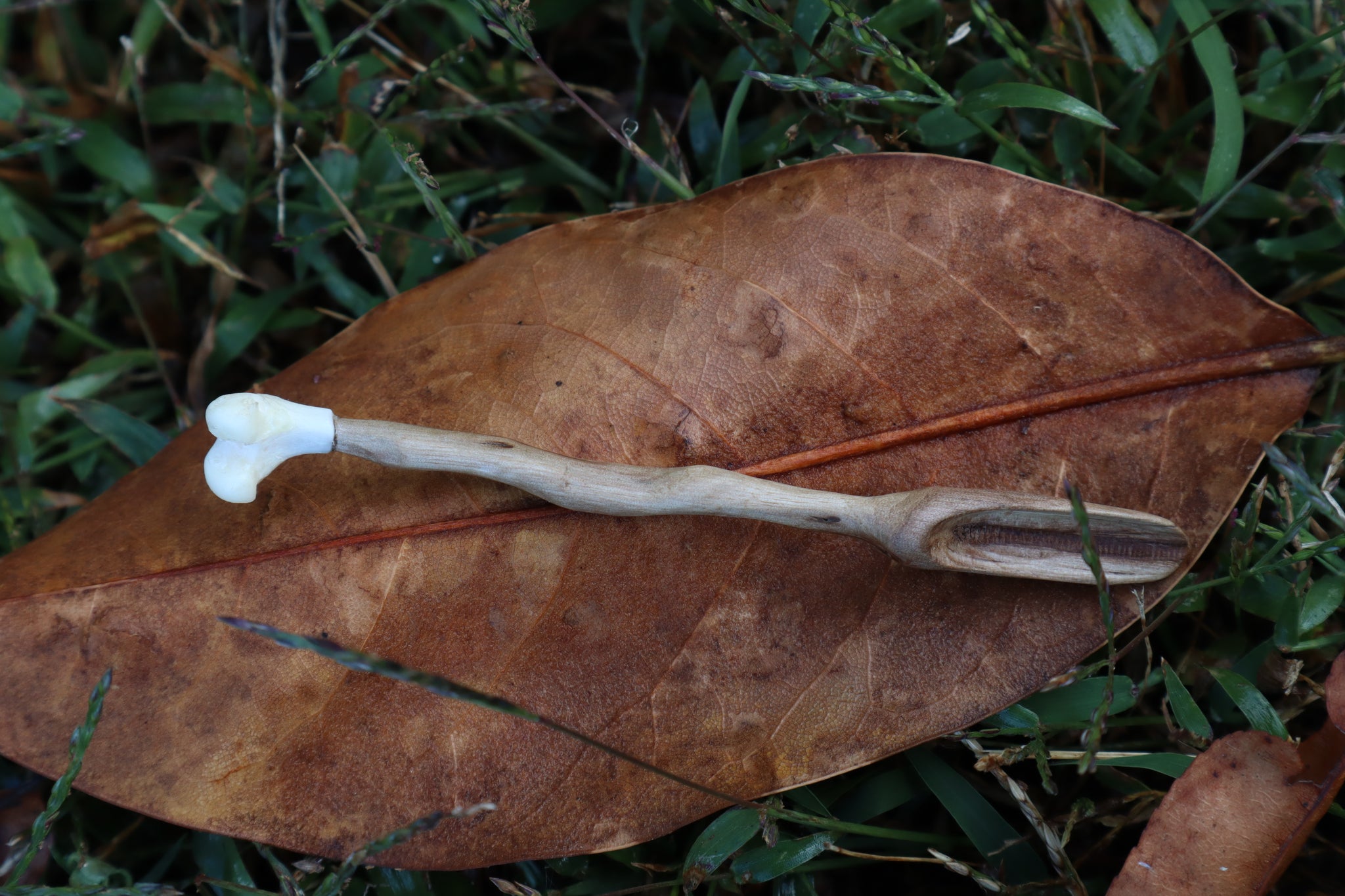 Black Walnut and Pine Marten Femur Offering Spoon