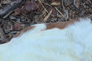 Reserved for Sammy - Boer Goat Pelt