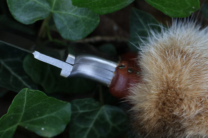 Bobcat Paw Knife