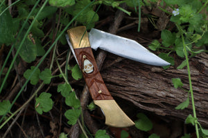 Chaos Monk Folding Knife